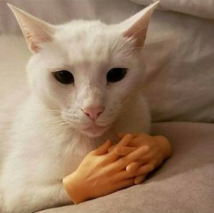 Meet your Posher, Caleb